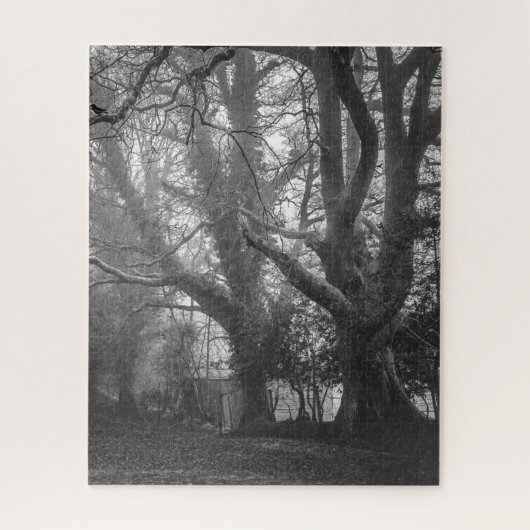Spooky Forest Black and White Fotografy Puzzle (Vertikal)