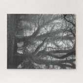 Spooky Forest Black and White Fotografy Puzzle (Horizontal)