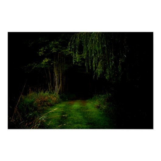 Spooky Forest Poster (Vorderseite)