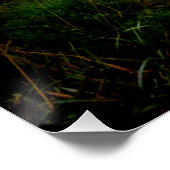 Spooky Forest Poster (Ecke)