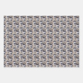 Spooky Fun Halloween Schwarz-weiß Skulls Streifen Geschenkpapier Set (Vorderseite 3)