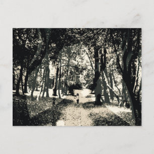 Spooky ghost in the woods image postcard postkarte