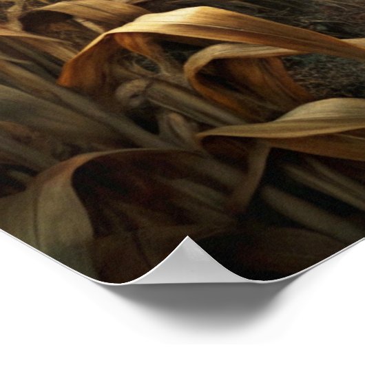 Spooky Halloween Poster (Ecke)