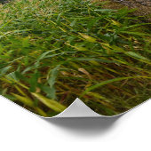 Spooky Hay Bale Poster (Ecke)