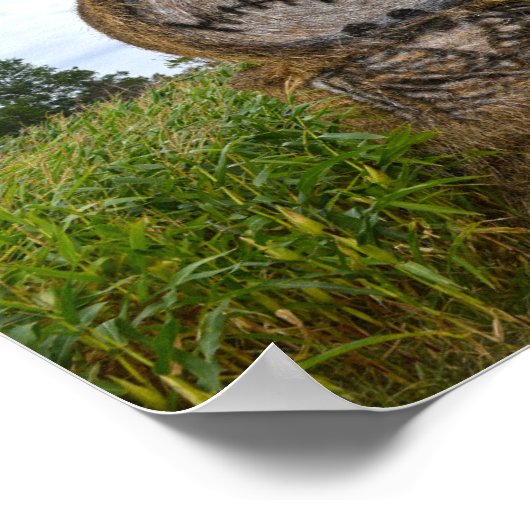 Spooky Hay Bale Poster (Ecke)