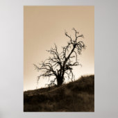 Spooky Herbstbaum Poster (Vorne)