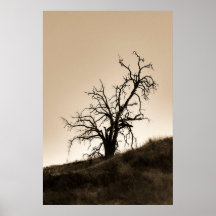 Spooky Herbstbaum