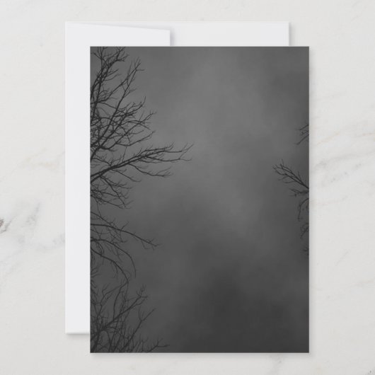 Spooky Hexe und Spider Halloween-Party Einladung (Rückseite)