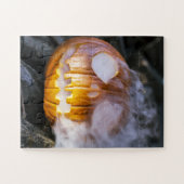 Spooky Jack-o-Laterne Puzzle (Horizontal)