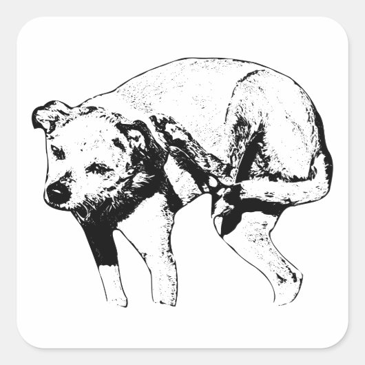 Spooky Little Scratcher Quadratischer Aufkleber (Vorderseite)