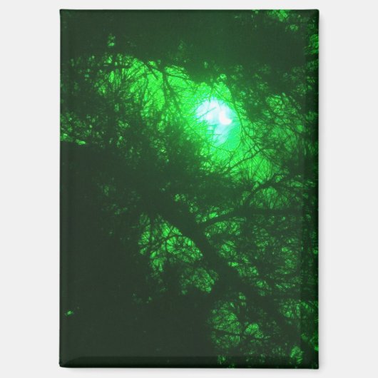 Spooky Midnight Forest Magnet (Vorderseite)