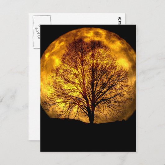Spooky Night Moon Baum Autumn Schicksal Geschenke Postkarte (Vorne/Hinten)