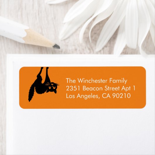 Spooky Orange Black Cat Spaß Halloween Adresse (Insitu)