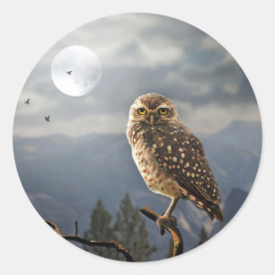Spooky Owl Moon Graphic Runder Aufkleber