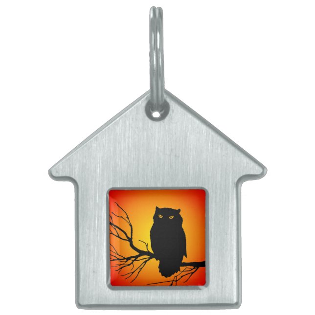 Spooky Owl Tiermarke (Vorderseite)