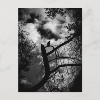 Spooky Raven in Tree Postkarte