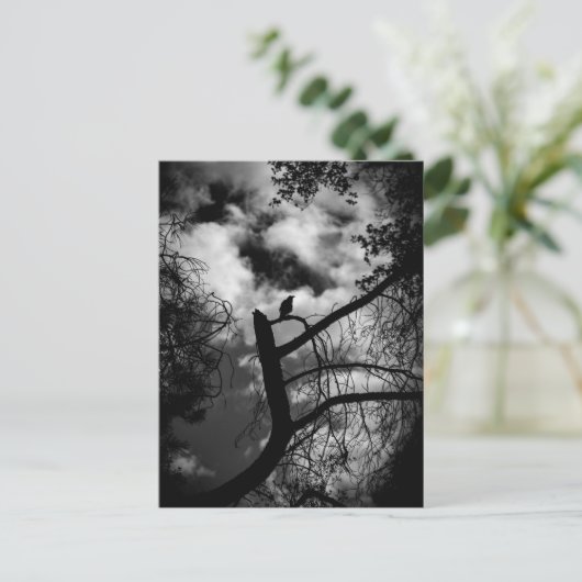 Spooky Raven in Tree Postkarte (Stehend Vorderseite)