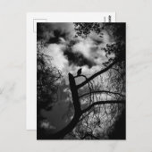 Spooky Raven in Tree Postkarte (Vorne/Hinten)