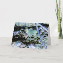 Spooky Red Deer Stag Grußkarte Hinzufügen Text