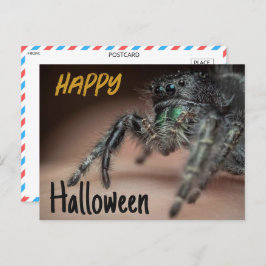 Spooky Spider Halloween Gruß Postkarte