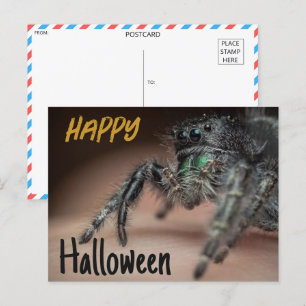 Spooky Spider Halloween Gruß Postkarte