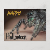 Spooky Spider Halloween Gruß Postkarte (Vorderseite)