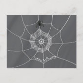 Spooky Spider in Spider Web Postcard Postkarte (Vorderseite)