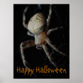Spooky Spider Web - Halloween Poster (Vorne)