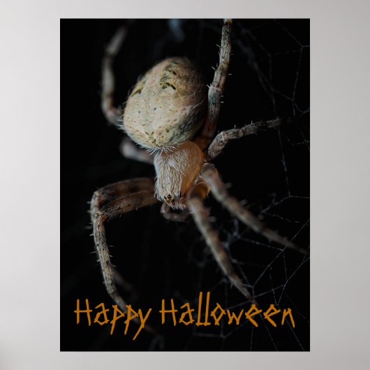 Spooky Spider Web - Halloween Poster (Vorne)