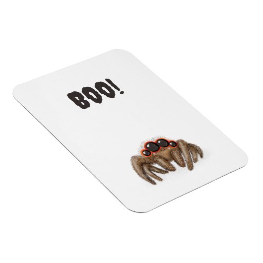 Spooky Spinne 'Boo'! Halloween-Magnet Magnet (Rechte Seite)