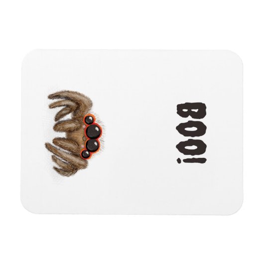 Spooky Spinne 'Boo'! Halloween-Magnet Magnet (Horizontal)