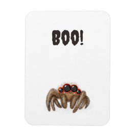 Spooky Spinne 'Boo'! Halloween-Magnet Magnet