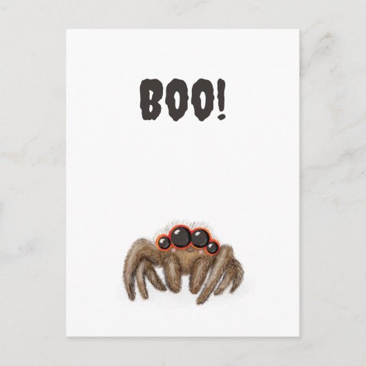 Spooky Spinne 'Boo'! Halloween-Postkarte Postkarte (Vorderseite)