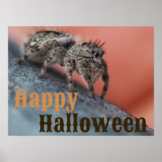 Spooky Spione Halloween Poster (Vorne)