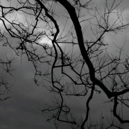 SPOOKY TREES HAPPY HALLOWEEN Faltkarte Karte