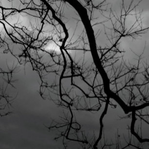 SPOOKY TREES HAPPY HALLOWEEN Faltkarte Karte