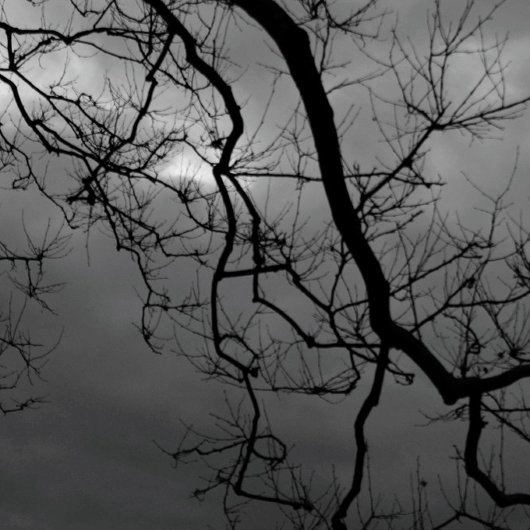 SPOOKY TREES HAPPY HALLOWEEN Faltkarte Karte