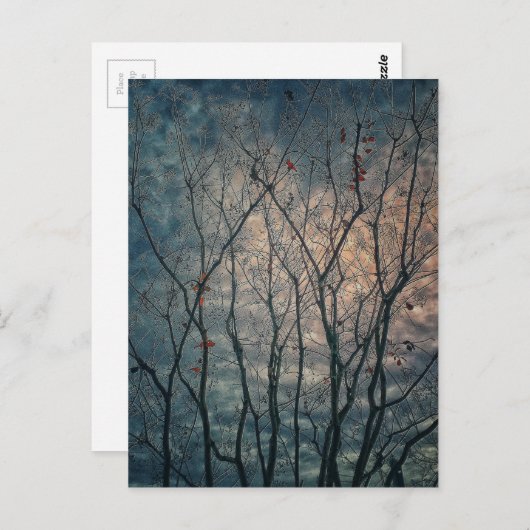 Spooky Trees Postkarte (Vorne/Hinten)