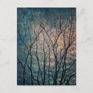 Spooky Trees Postkarte