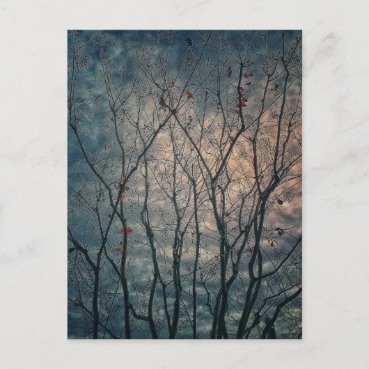 Spooky Trees Postkarte (Vorderseite)