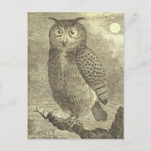 Spooky Vintag Halloween Eagle Owl Postcard Postkarte (Vorderseite)