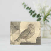 Spooky Vintag Halloween Owl Postkarte (Stehend Vorderseite)