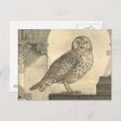 Spooky Vintag Halloween Owl Postkarte (Vorne/Hinten)