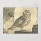 Spooky Vintag Halloween Owl Postkarte (Vorderseite)