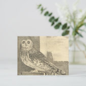 Spooky Vintag Halloween Owl Postkarte (Stehend Vorderseite)