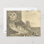 Spooky Vintag Halloween Owl Postkarte (Vorne/Hinten)