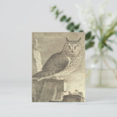 Spooky Vintages Owl Halloween Postkarte (Stehend Vorderseite)