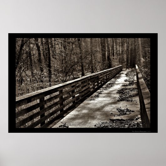 Spooky Walking Bridge Poster (Vorne)