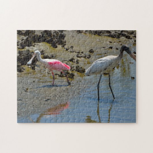 Spoon Bill Wood Stork Florida Puzzle (Horizontal)