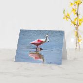 Spoonbill-5-05 Karte (Gelbe Blume)